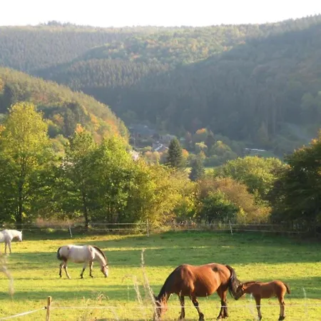 Escape To Nature In Vencimont, Cleaning Included * Vencimont